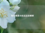 和平精英小队玩法全解析