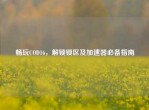 畅玩COD16，解锁锁区及加速器必备指南