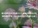 萤火虫的生活习性是什么？揭秘这些发光小生物的奇妙世界（萤火虫的生活方式是什么呀）