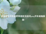 绝地求生开车视野低困扰及应对pubg开车视角限制