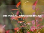 探秘lol天堂在线，开启虚拟世界的精彩之旅