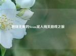趣味无限的Steam泥人闯关游戏之旅