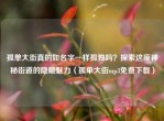 孤单大街真的如名字一样孤独吗？探索这座神秘街道的隐藏魅力（孤单大街mp3免费下载）