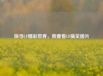 探寻CF精彩世界，我要看CF搞笑图片