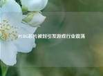 PUBG芯片被封引发游戏行业震荡
