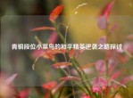 青铜段位小菜鸟的和平精英逆袭之路探讨
