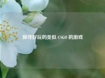 探寻好玩的类似 CSGO 的游戏