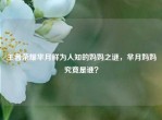 王者荣耀芈月鲜为人知的妈妈之谜，芈月妈妈究竟是谁？