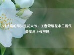 对抗路的尽头是花大爷，王者荣耀花木兰霸气美学与上分密码