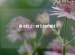 盘点拎过CF包包的明星们