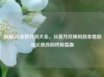 最新LOL皮肤代码大全，从官方兑换码到本地自定义修改的终极指南