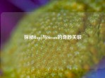 探秘Bupg与Steam的奇妙关联