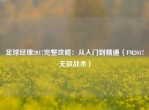 足球经理2017完整攻略：从入门到精通（FM2017无敌战术）