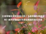 王者荣耀在其他国家火吗｜王者荣耀在韩国火吗？揭开中国国民手游在韩国的真实热度