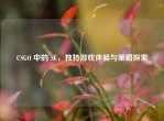 CSGO 中的 SE，独特游戏体验与策略探索