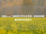 汤锅steam：汤锅蒸汽烹饪全攻略：家庭自制健康美食的实用技巧