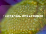 PUBG游戏黑白画质，独特视角下的别样体验