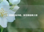 CF 黑翼获取攻略，探寻黑翅膀之路