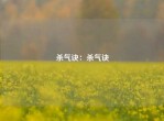 杀气诀：杀气诀