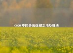 CSGO 中的身法蕴藏之所及身法