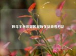 探寻王者荣耀国服所在及查看     