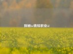 探秘lol青蛙职业id