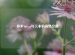 探索Steam与玩水的奇妙交融