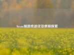 Steam领游戏途径及教程探索