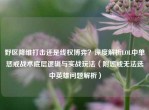 野区降维打击还是线权博弈？深度解析LOL中单惩戒战术底层逻辑与实战玩法（附惩戒无法选中英雄问题解析）