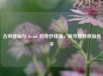 古风修仙与 Steam 的奇妙碰撞，探寻独特修仙名字