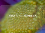 末世之下，Steam 成为希望之光