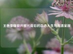 王者荣耀裂开图片背后的百态人生与高清呈现