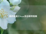 国内电脑上Steam及谷歌的指南