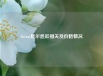 Steam尼尔退款相关及价格情况