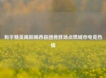 和平精英揭阳揭西县团竟胜场点燃城市电竞热情