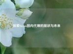 探索Steam国内     的现状与未来