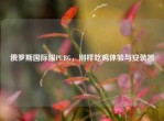 俄罗斯国际服PUBG，别样吃鸡体验与安装器