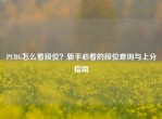 PUBG怎么看段位？新手必看的段位查询与上分指南
