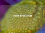 CF游戏里的演技大赏