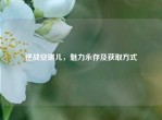 逆战安琪儿，魅力永存及获取方式