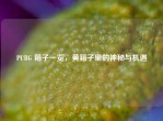 PUBG 箱子一览，黄箱子里的神秘与机遇