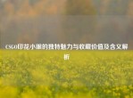 CSGO印花小眼的独特魅力与收藏价值及含义解析