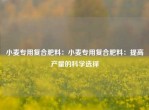 小麦专用复合肥料：小麦专用复合肥料：提高产量的科学选择