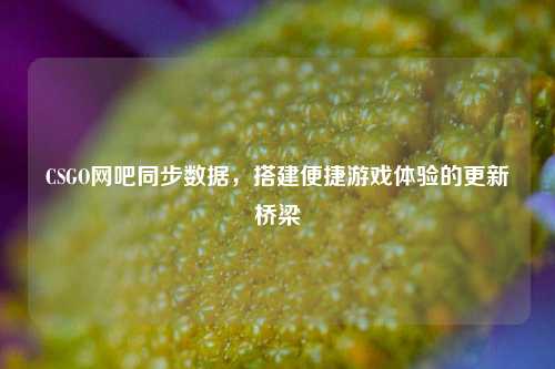 CSGO网吧同步数据,搭建便捷游戏体验的更新桥梁