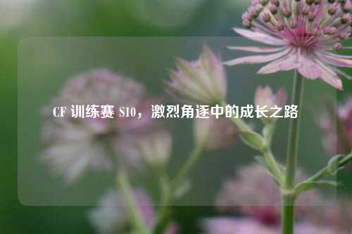 CF 训练赛 S10,激烈角逐中的成长之路