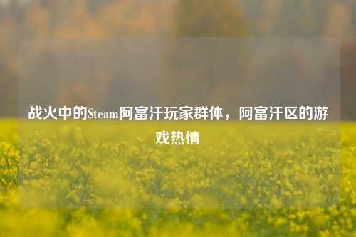 战火中的Steam阿富汗玩家群体,阿富汗区的游戏热情