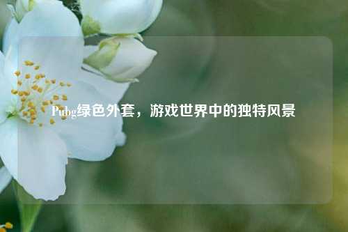 Pubg绿色外套,游戏世界中的独特风景