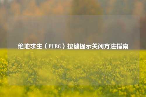 绝地求生(PUBG)按键提示关闭 指南