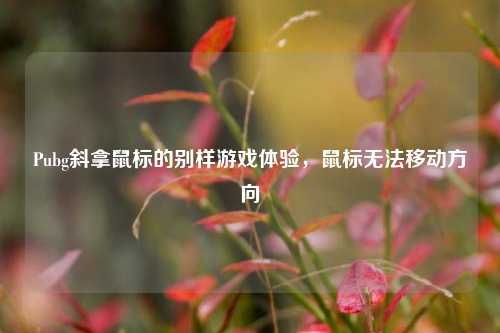 Pubg斜拿鼠标的别样游戏体验,鼠标无法移动方向