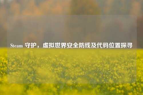 Steam 守护,虚拟世界安全防线及代码位置探寻